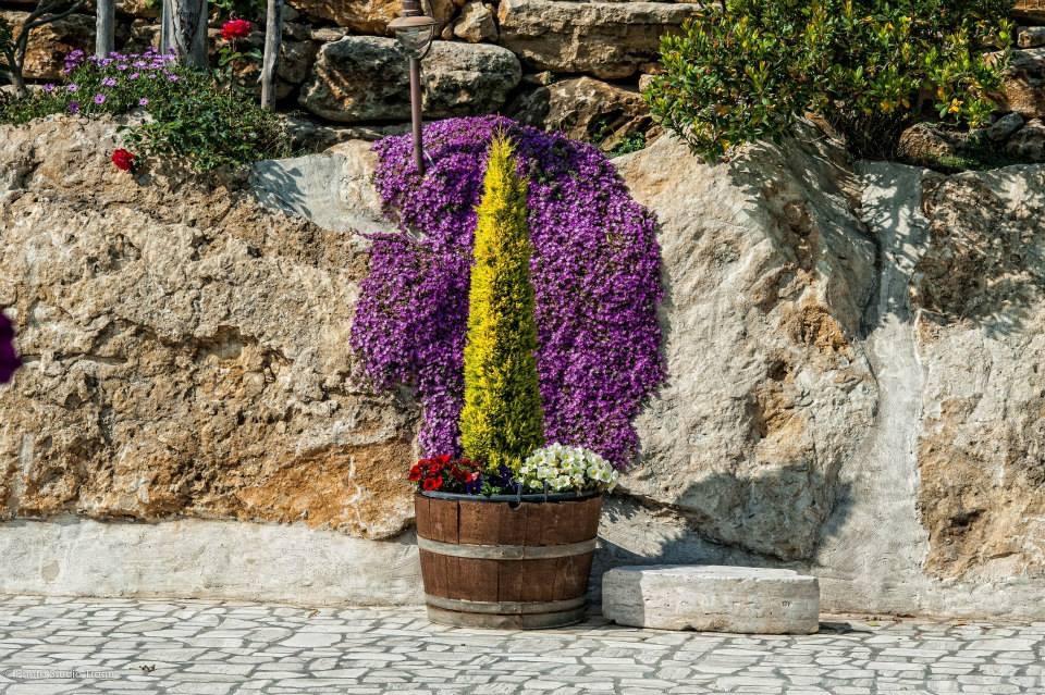 Il Giardino Dei Flintstones B&B Cerveteri Eksteriør billede