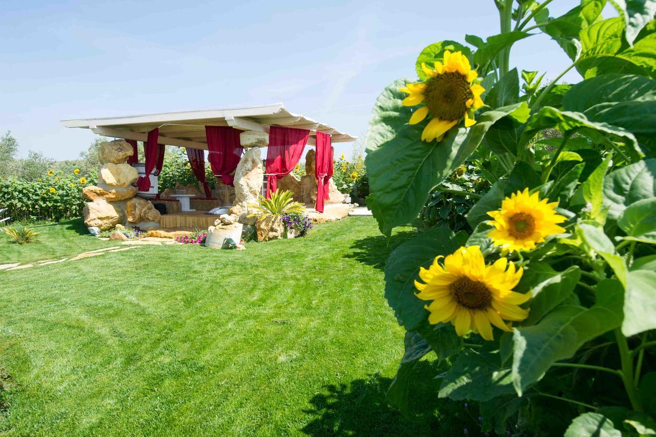 Il Giardino Dei Flintstones B&B Cerveteri Eksteriør billede